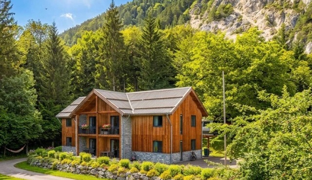 Cozy holiday apartment by a lake in Carinthia