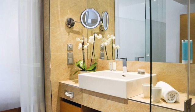 Double room Panorama SGL non ref - TAUERN SPA Zell am See-Kaprun