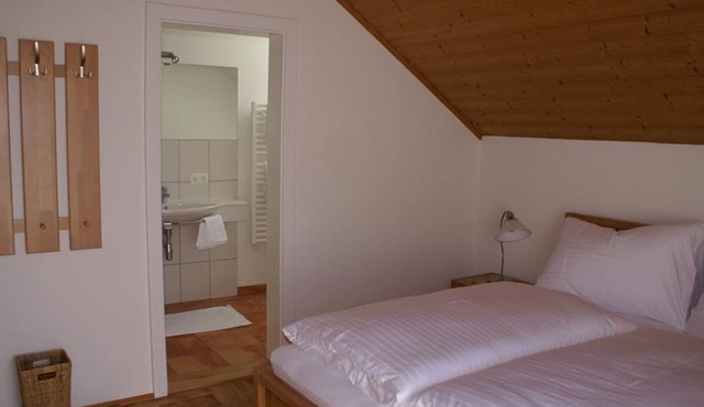 Double room with shower, WC, balcony - Haus Gollner