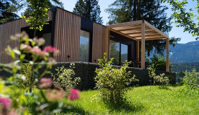 Enzian 4 by Interhome
