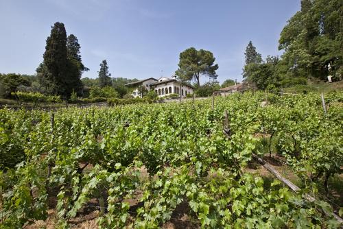 Fattoria Le Vegre in Arcugnano