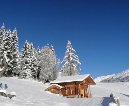 Ferienhütte Sternenblick