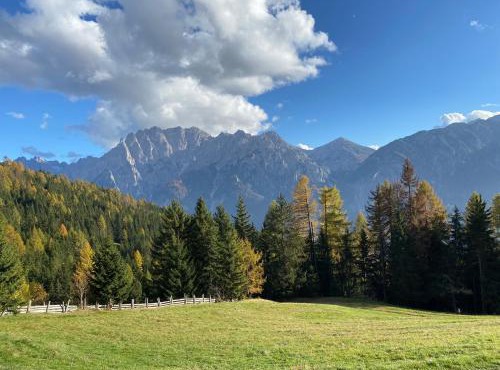 Flasswiesen Alm - ruhige Almhütte in Osttirol