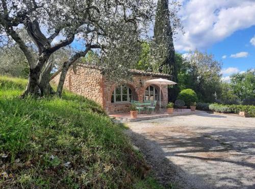 Gli sterpi in Sinalunga