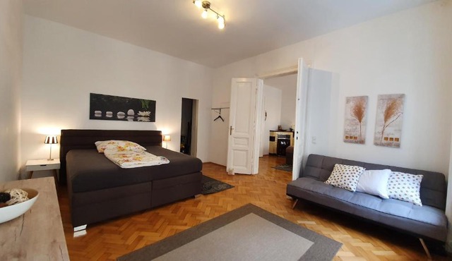 Gorgeous Viennese Apartment 10 min to City Center