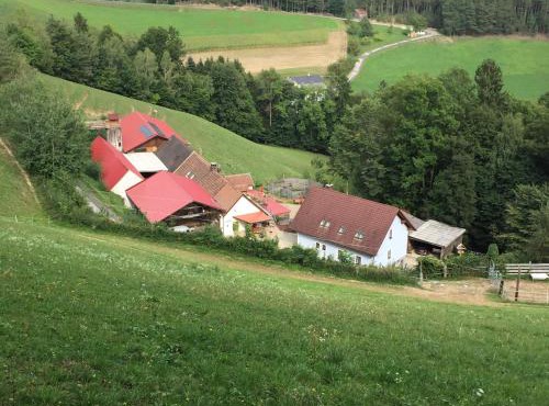 Haflingerhof Luef in Bad Schönau
