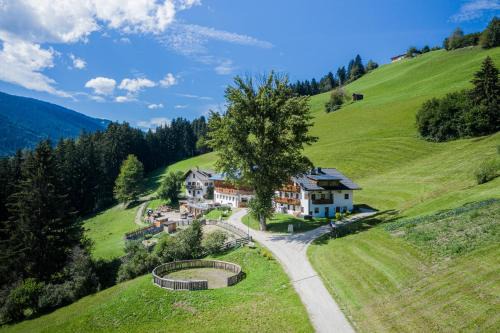 Haubenthal in Villabassa