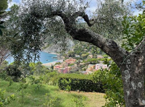 Historical Villa The Birdhouse - Garden Views in Monterosso al Mare