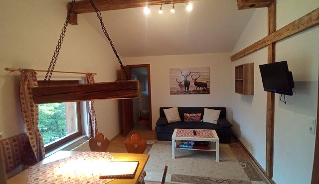 Holiday apartment in a beautiful natural setting, with its own balcony and use of a barbecue and a playground in St. Sigmund im Sellrain