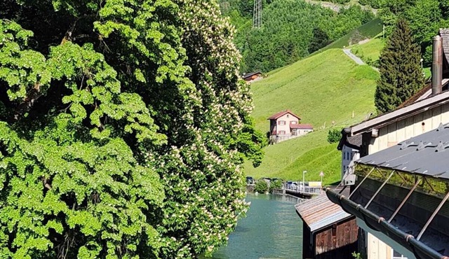 Large studio in Schwanden with mountains and river. 5 minutes to train station. in Glarus Süd