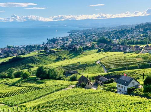 #Lavaux in Lutry