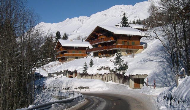 Les DIABLERETS Apartment confortable à 5 minutes du Glacier 3000 in Ormont-Dessus