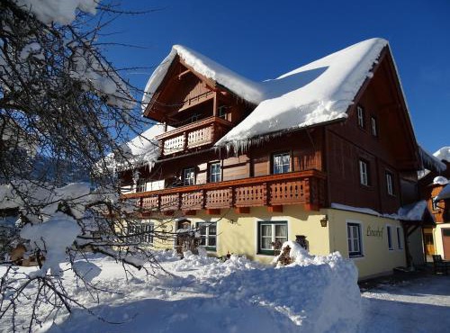 Linarhof Apartment Urlaub am Bio Bauernhof in Haus im Ennstal