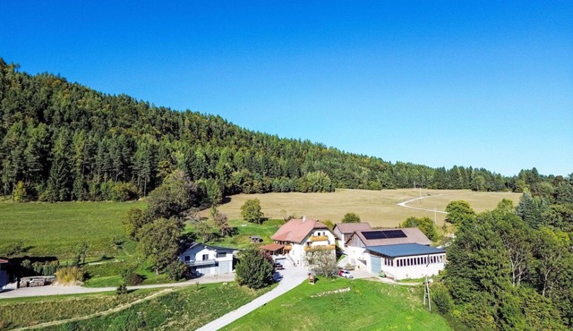 Lovely apartment for 5 people with WIFI, TV, balcony and pets allowed