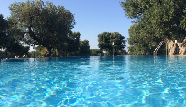 Magnificent villa with swimming pool in the centuries-old olive trees of Salento near Ostuni. in Carovigno