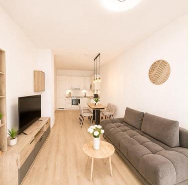 Modern business apartment with balcony
