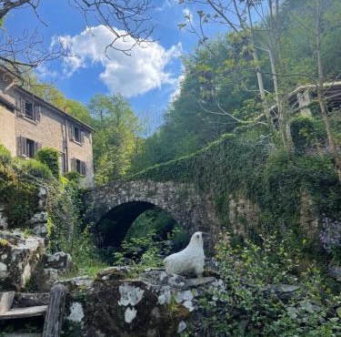 Mulino Morandi in Il Molinaccio