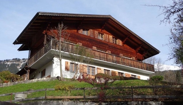 Nice apartment for 8 people with WIFI, balcony and pets allowed in Lenk