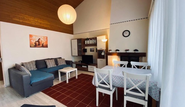 Nice top floor flat in Bad Zurzach