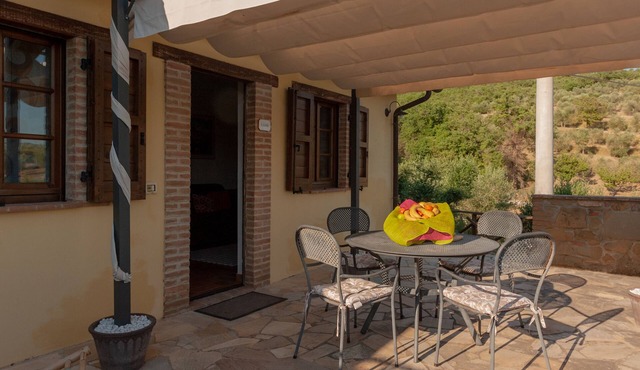 Olive Branch Apt In Farmhouse With Pool, Panicale, Italy in Panicale