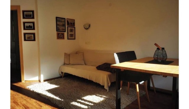 Pension Luzenberg: 1-Bedroom Apartment