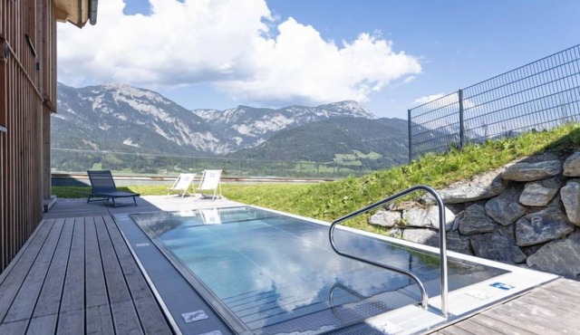 Premium mit 4 Schlafzimmern,Sauna&Pool by Interhome