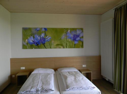 Schatz.Kammer Burg Kreuzen in Bad Kreuzen
