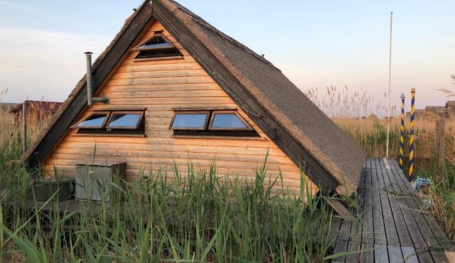 Seehütte Pfahlbau-Neusiedlersee-Robinsonhütte