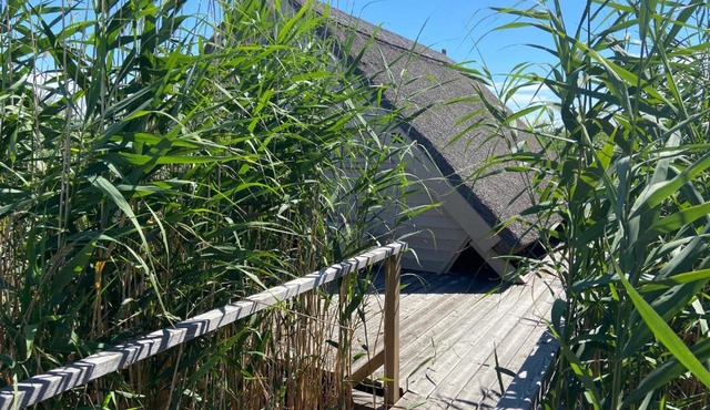 Seehütte Pfahlbau-Neusiedlersee-Waterfront 2