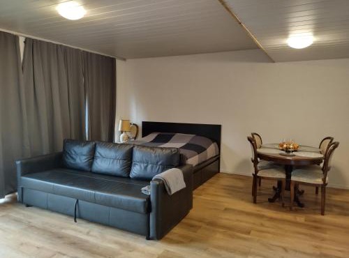 Spacieux studio 38m2 in Les Paccots