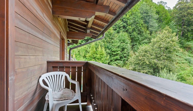 Spacious Apartment in Salzburg near Ski Area