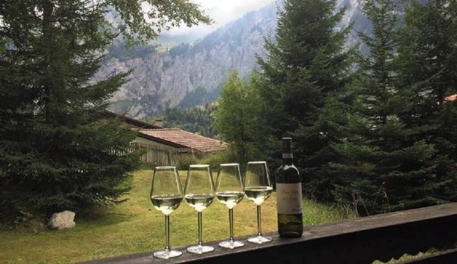 SPECTACULAR MOUNTAIN SCENERY AND SYLVAN ALPINE LANDSCAPES IN THE CANTON OF BERN in Kandersteg