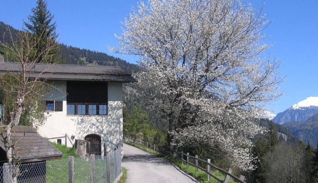 Staudenhof Viamala by Interhome in Dalin