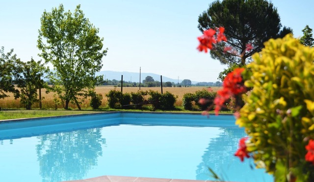Stunning private villa for 12 guests with A/C, private pool, WIFI, TV, terrace and pets allowed in Cortona