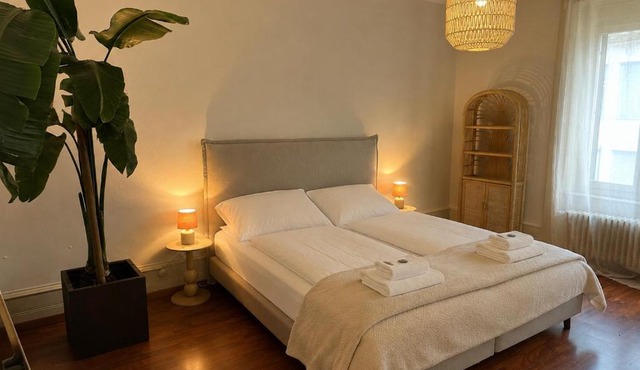 Stylish old building - Parking - 16 minutes to Zurich in Baden