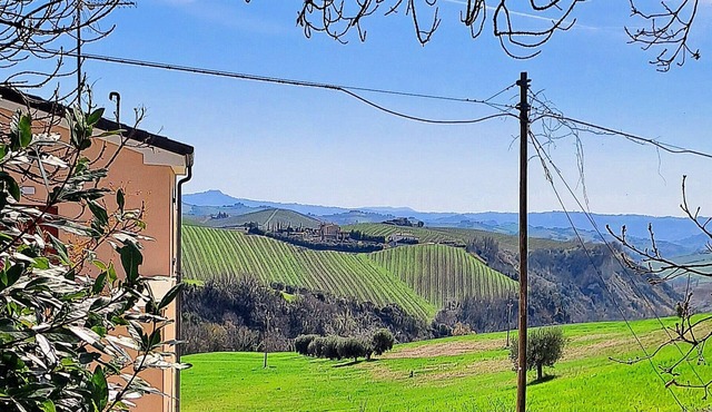 Sweet Home Offida in Offida