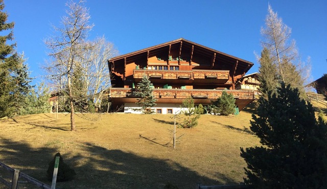 The Diablerets- Chalet Mamina in Ormont-Dessus