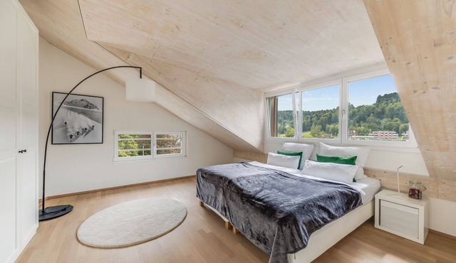 Unique architect-designed apartment in Winterthur in Winterthur