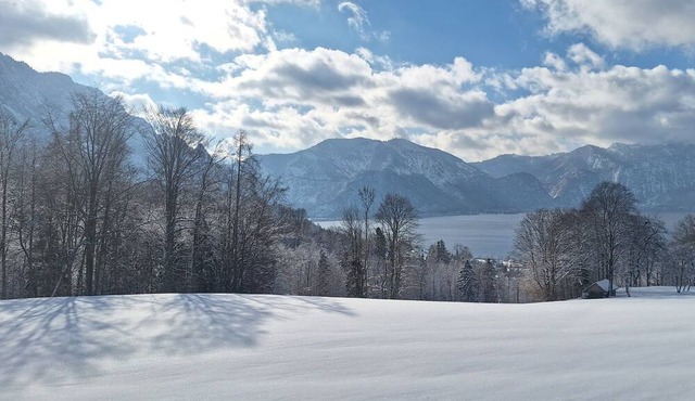 Vacation apartment 1 - Williamsbirne - Attersee Panorama Apartments