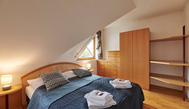 Vacation home for 5 guests with 80m² in Lutzmannsburg (313309)