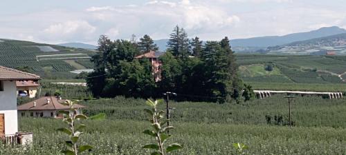 Villa Rosa since 1914, Brenta Dolomite in Terres
