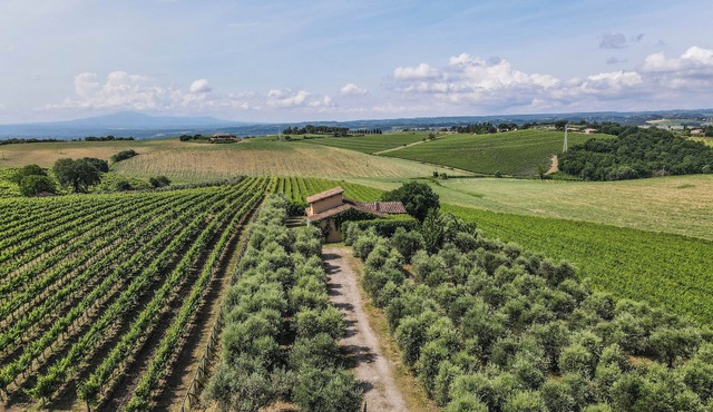 Villa surrounded by vineyards with private pool near Orvieto in Terni