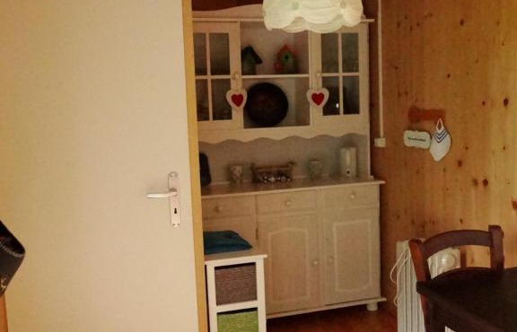Vogelnest in Gais