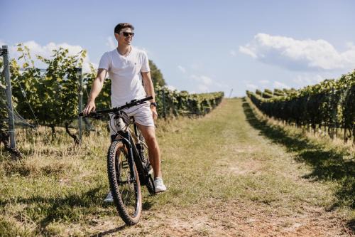 Winzerhäuser Skringer Wohnen im Weingarten in Leutschach