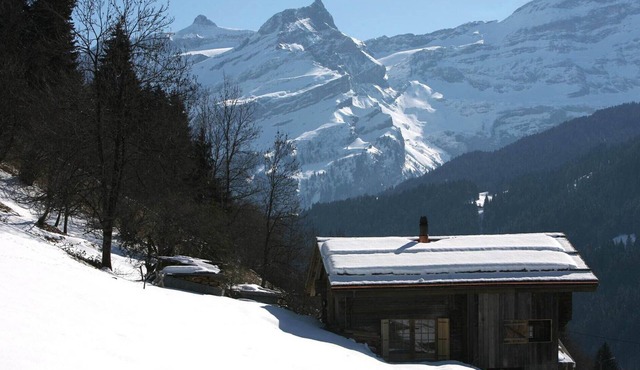 Wonderful and bright charming, renovated, and with a lot of charm in Vers-l'Eglise(Les Diablerets)