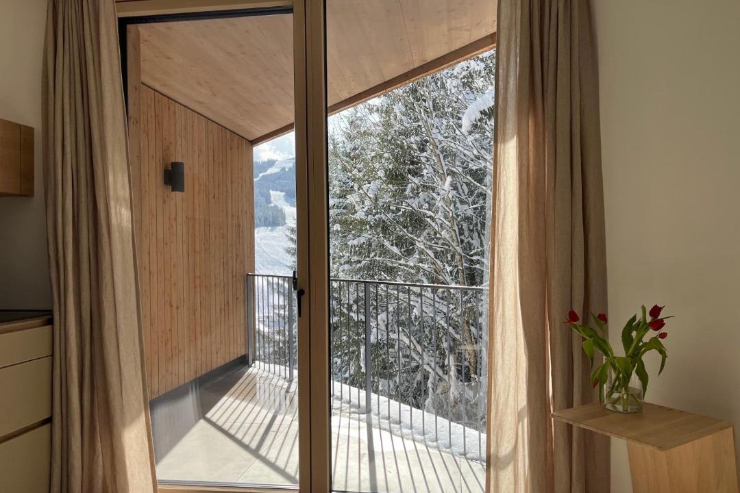 Russbach am Pass Gschuett Apartment | The Mountain Nest