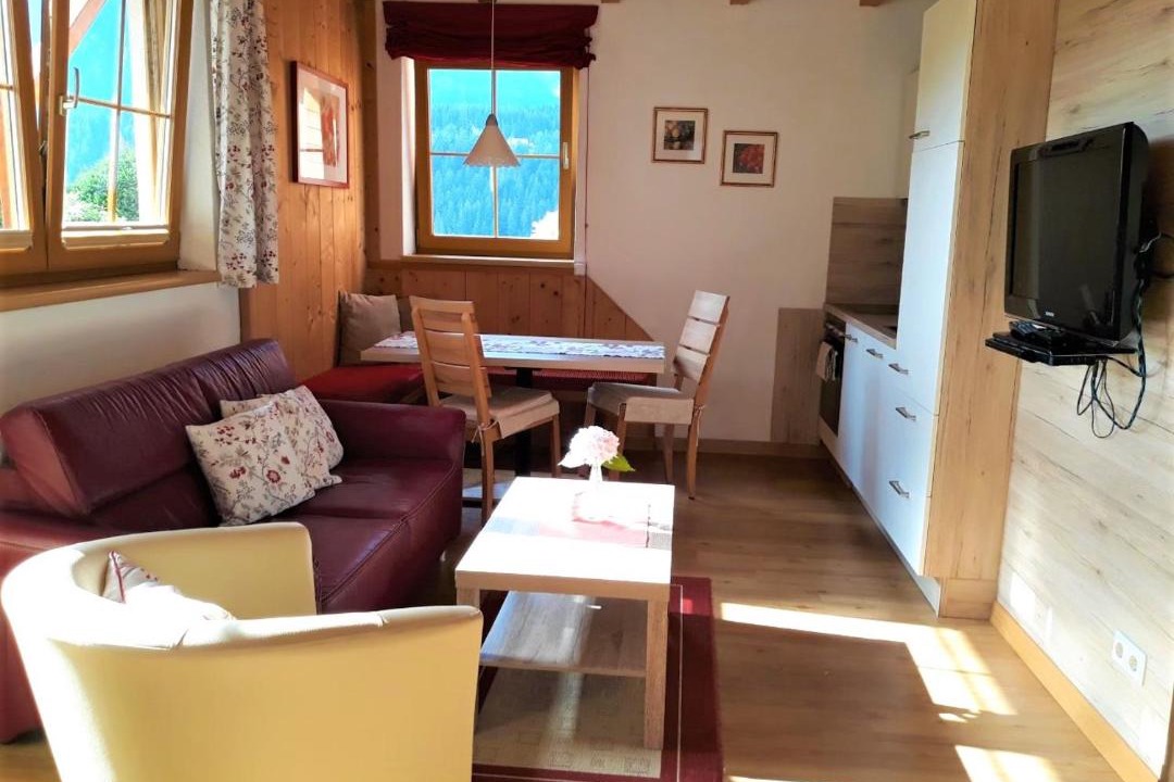 Haus im Ennstal Apartment | Appartement Van Dijk