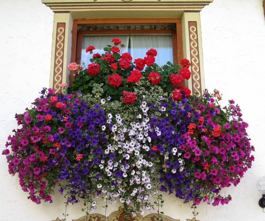 Photo of Others in Neustift Im Stubaital