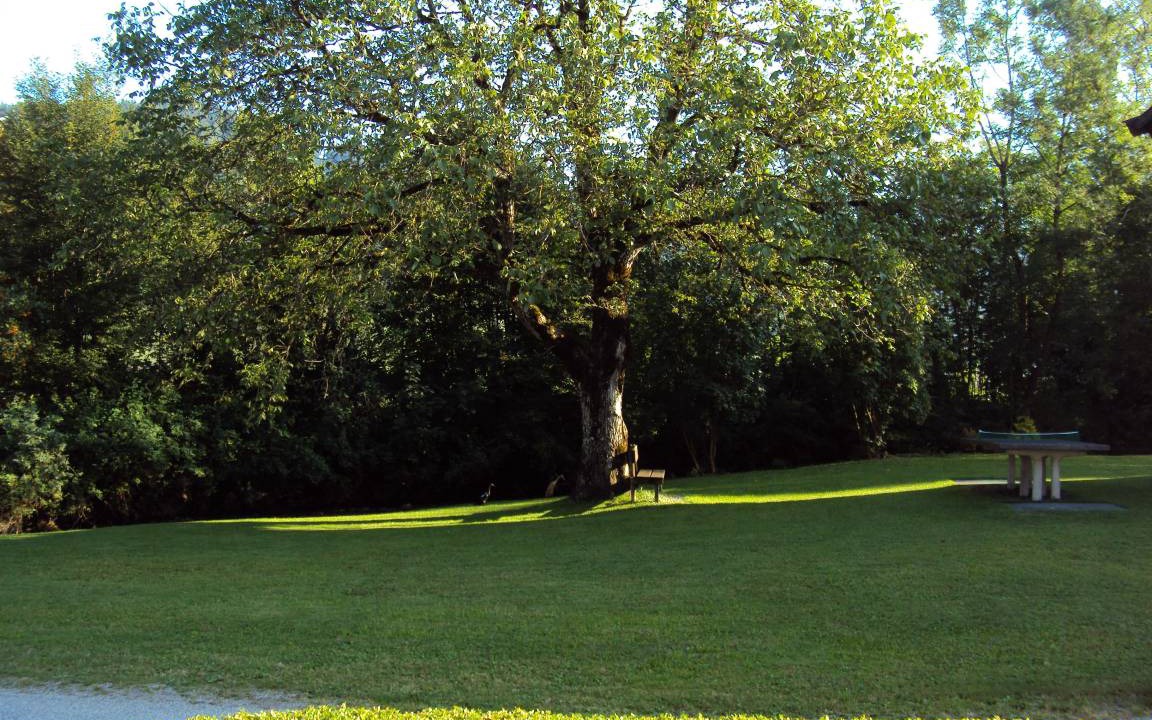 Photo of Others in Durchholzen