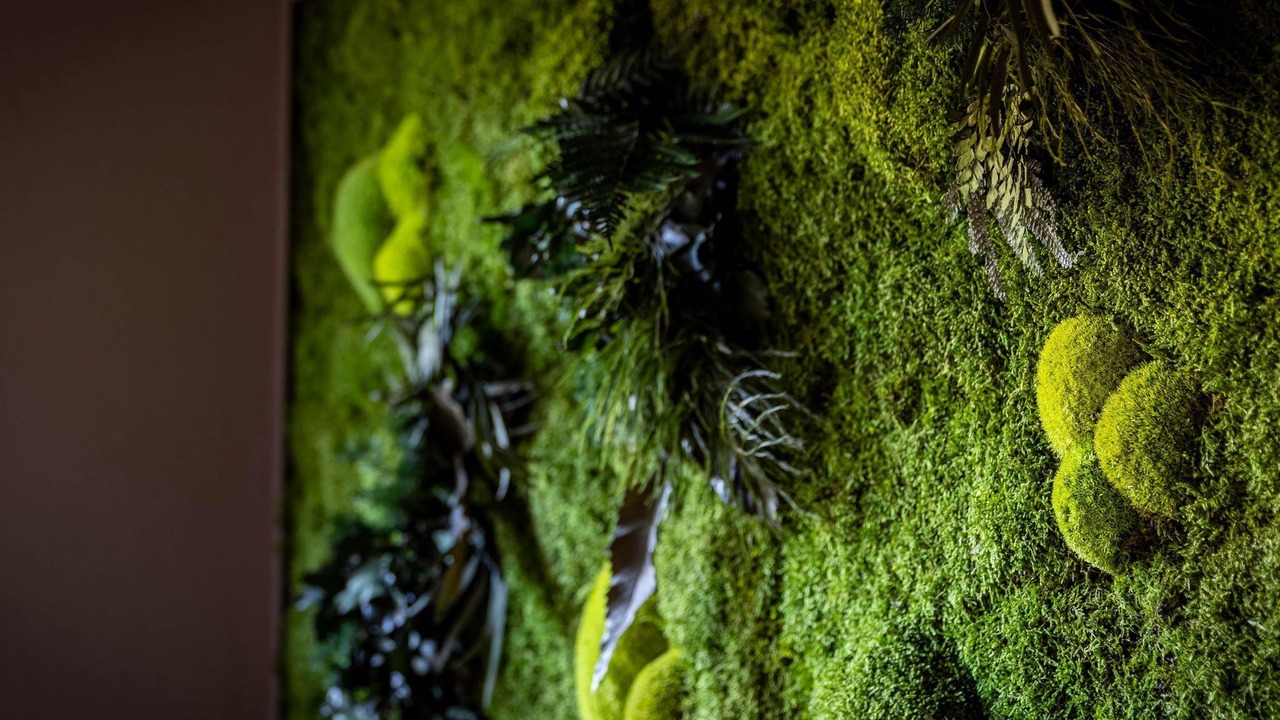 Photo of Others in Natters